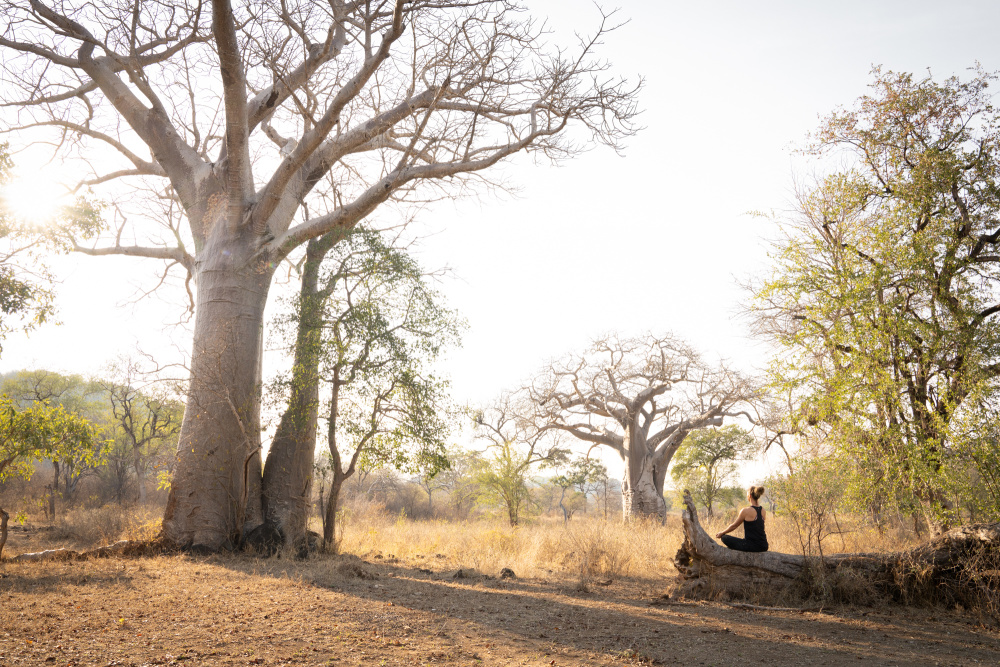 Singita has always sought to harness the transformative power of nature to foster a sense of belonging and connection 