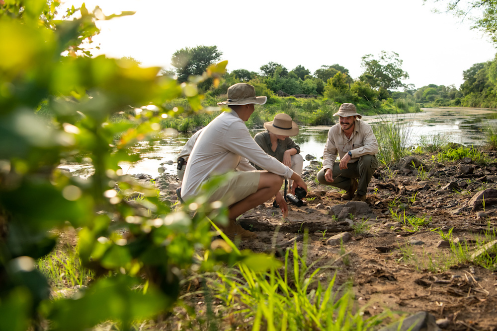 Learning about, and connecting to the earth is remarkably grounding and offers rarely found perspective