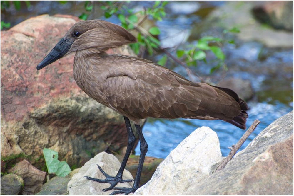 Photo by Josh Saunders.