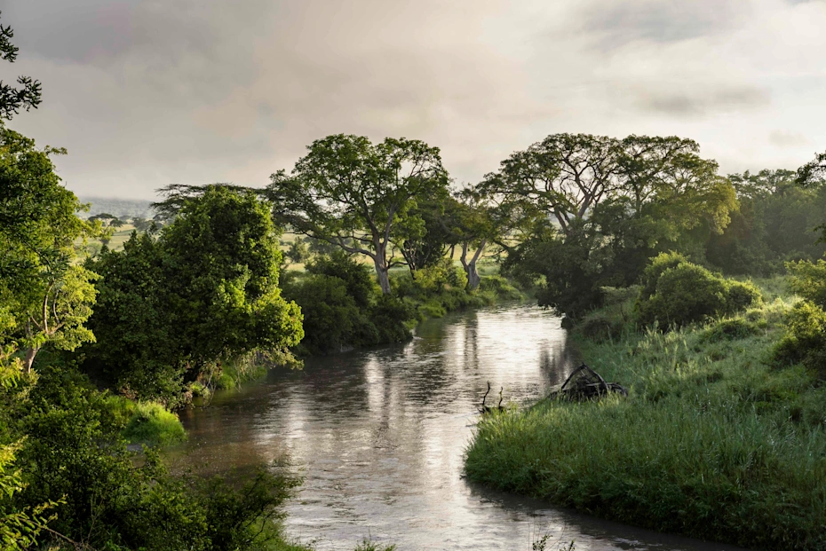Singita Faru Faru Lodge