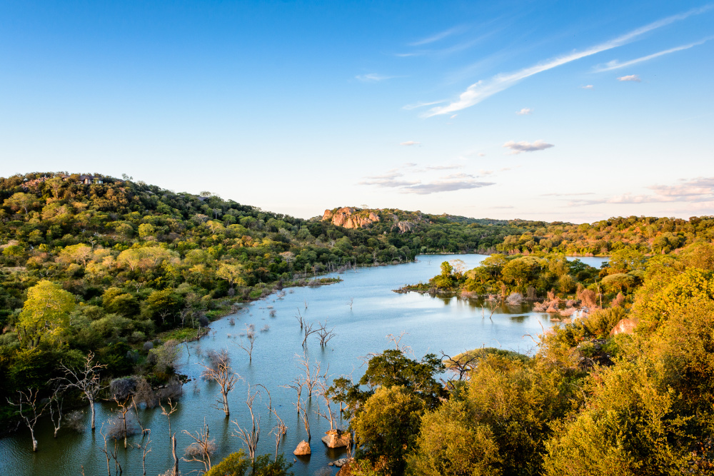 The Malilangwe Trust focuses on the preservation of the Malilangwe Wildlife Reserve's biodiversity and implements sustainable long-term community programmes  