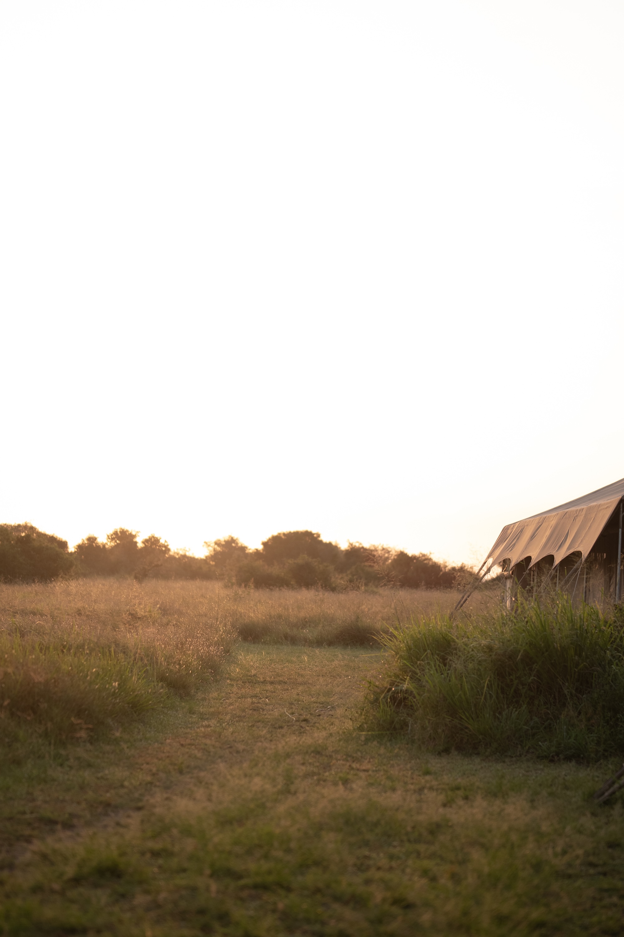 Singita Explore