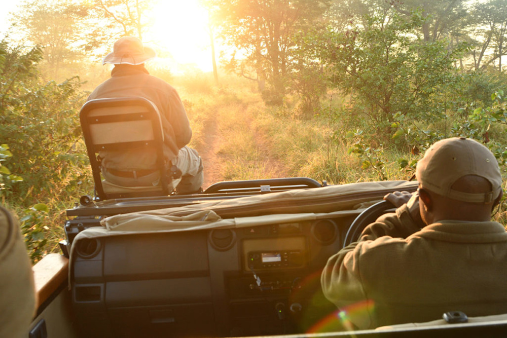 The Malilangwe Wildlife Reserve: One of Africa’s last truly wild places