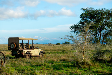 singita safari tanzania