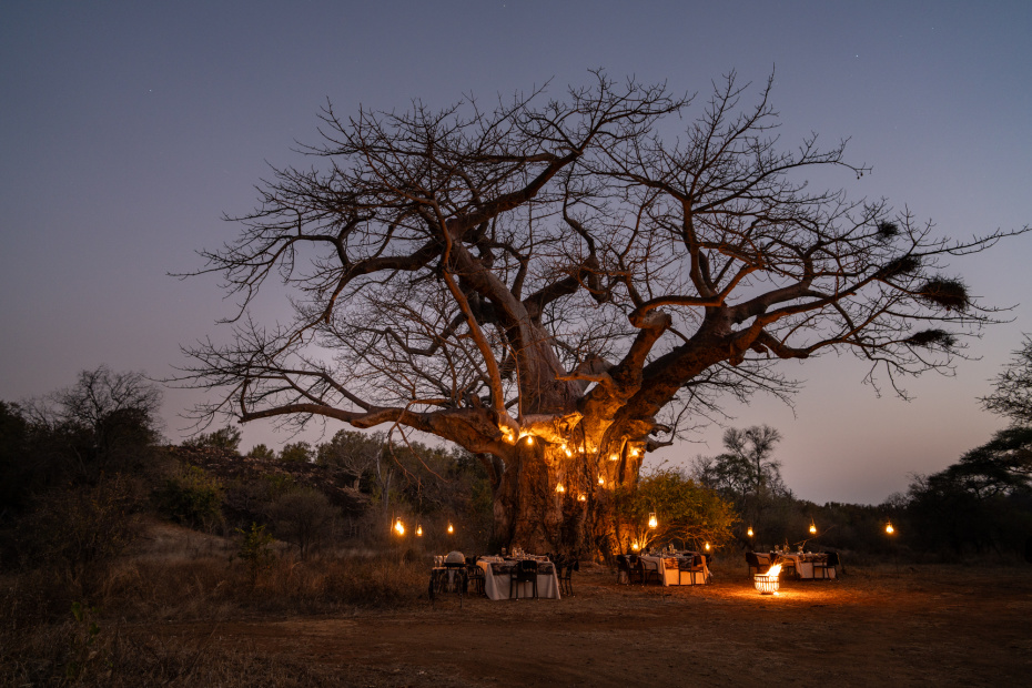 zimbabwe safari lodge