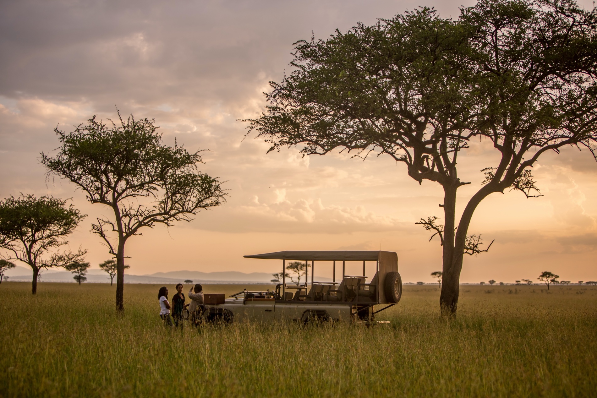 africa luxury safari resorts