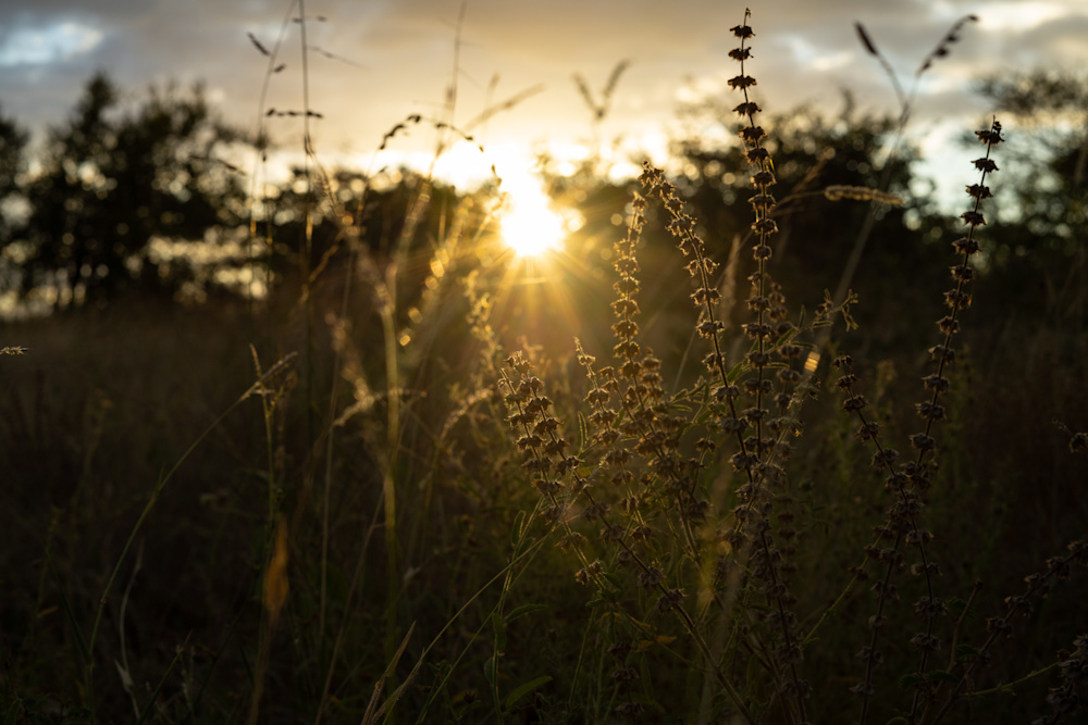 All the conservation projects across our regions and at every level of our daily operations have been founded on the basis of our 100-year purpose