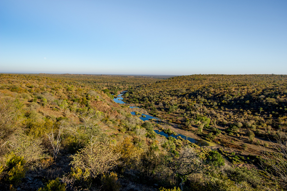 Jonathan Lachowitz comes to Singita Kruger National Park as often as he can to spend time walking in the wilderness