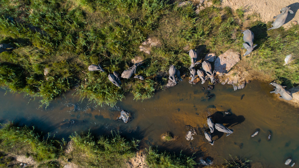 Being immersed in the unspoilt African wilderness is the perfect antidote to the current stress of everyday life