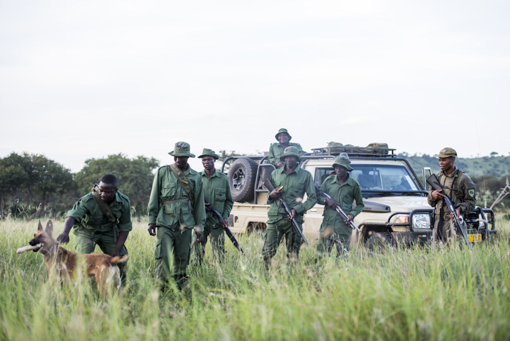 Funding a 100-Year Conservation Vision Through Sustainable Tourism