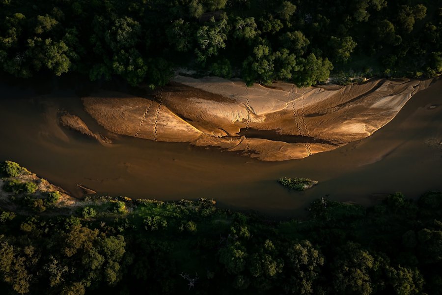 Understanding the Sabi Sand's ebbs and flows
