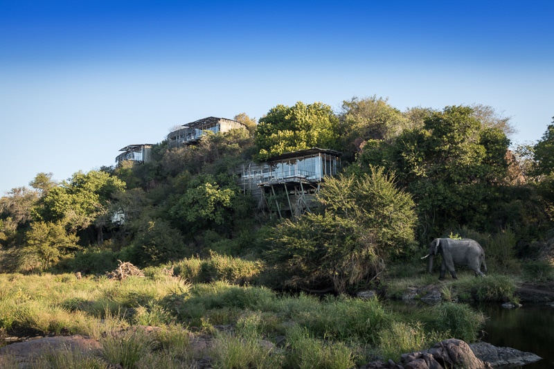 A First-Time Family Safari