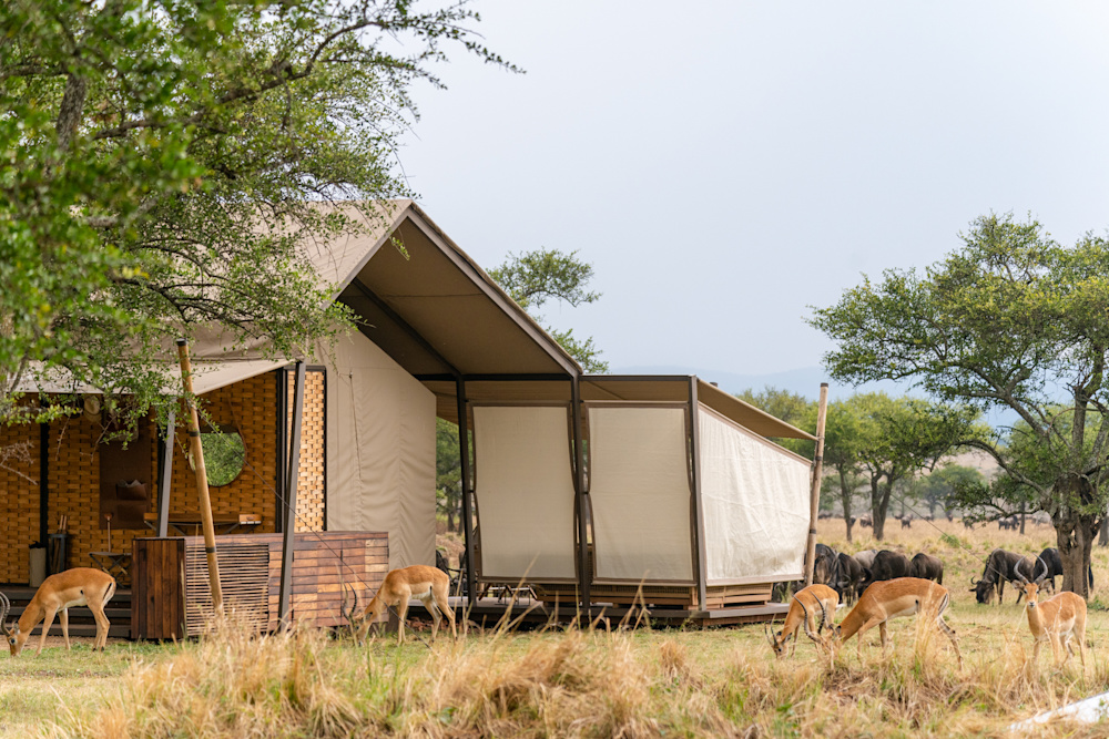 At Singita Sabora Tented Camp, the design team chose to craft the tents and their components on site rather than import a completed product
