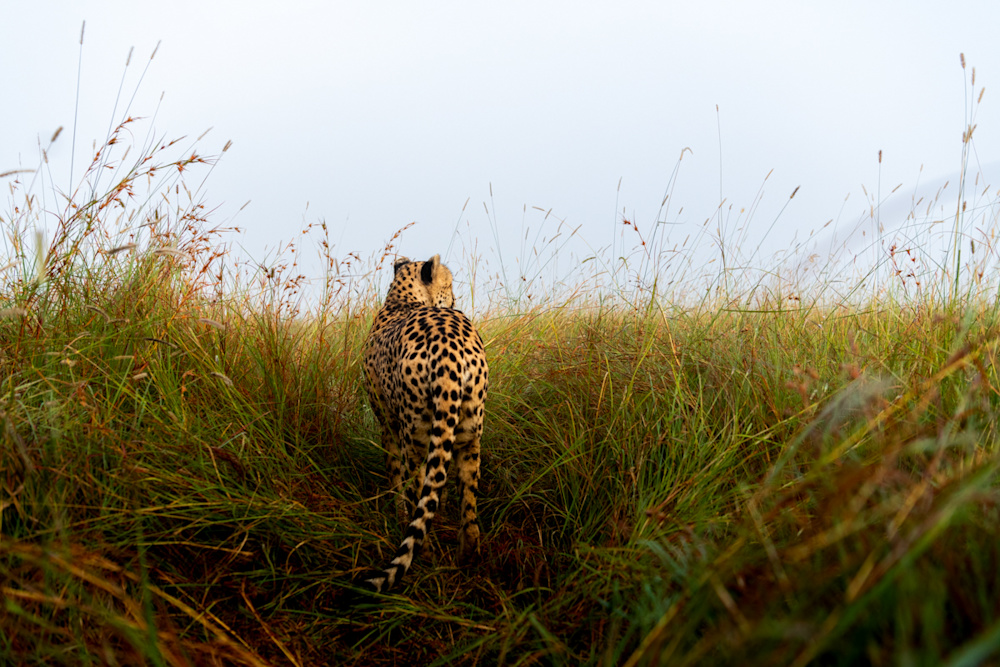 Looking back over 2021, we reflect on our successes and recommit to our 100-year purpose