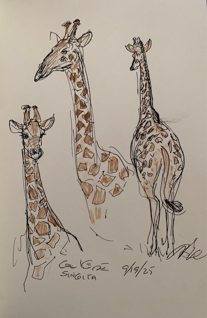 Guest Post Glen Keane