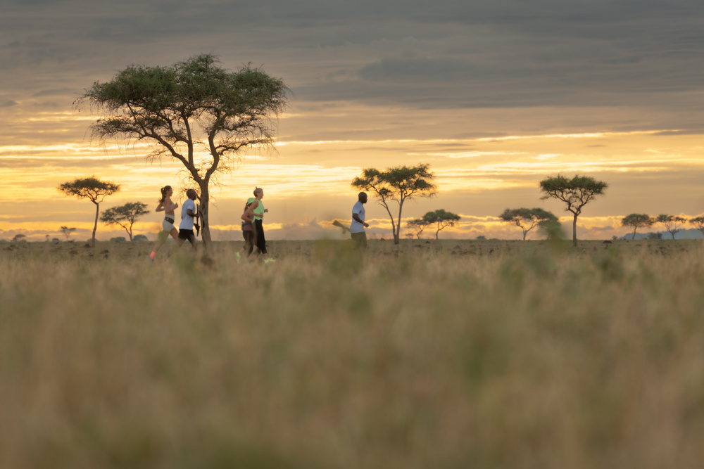 It's only through collaboration – between Singita, its non-profit partners and our guests and supporters – that our conservation programmes can continue to flourish