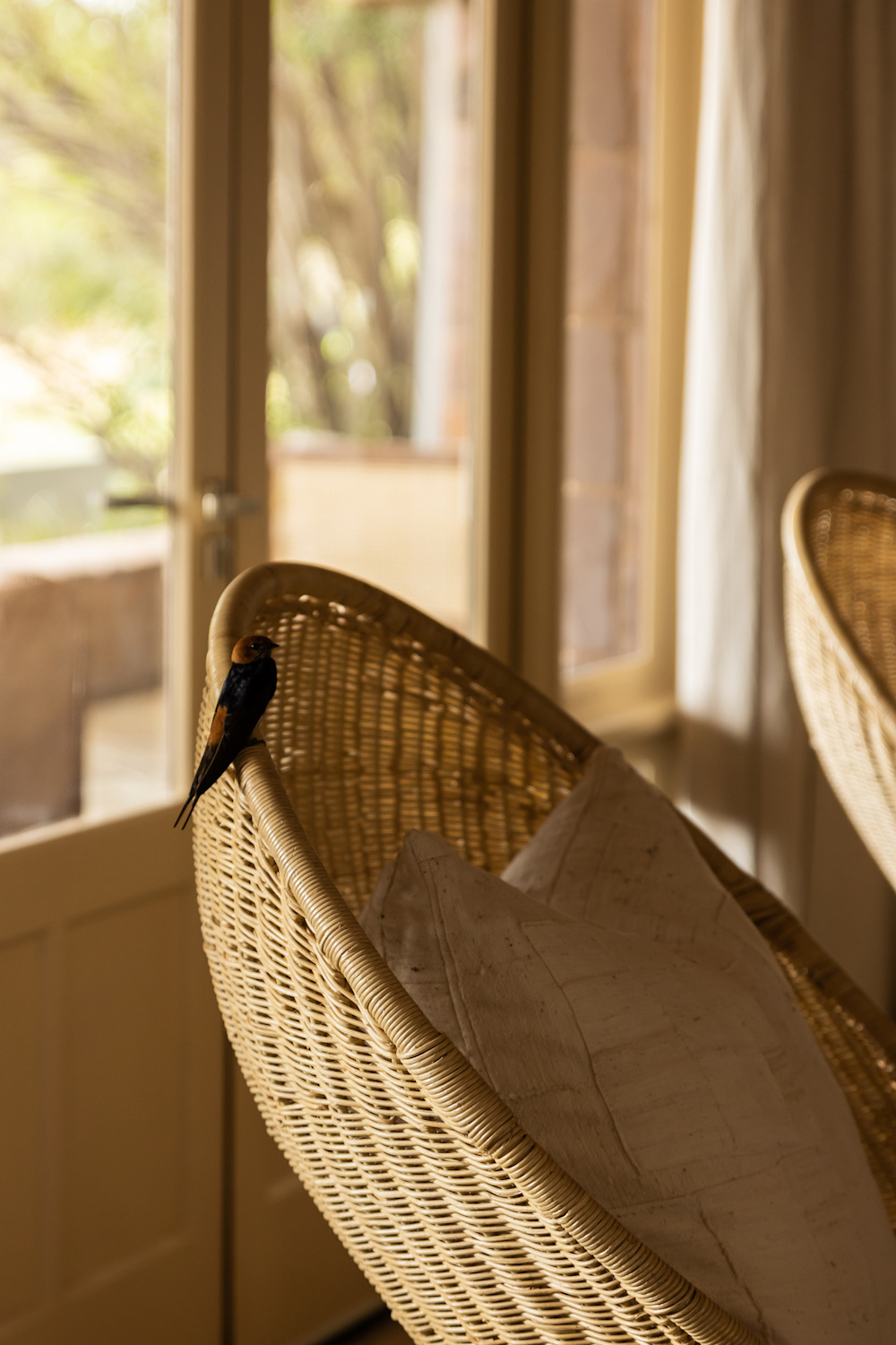 Serengeti House detail