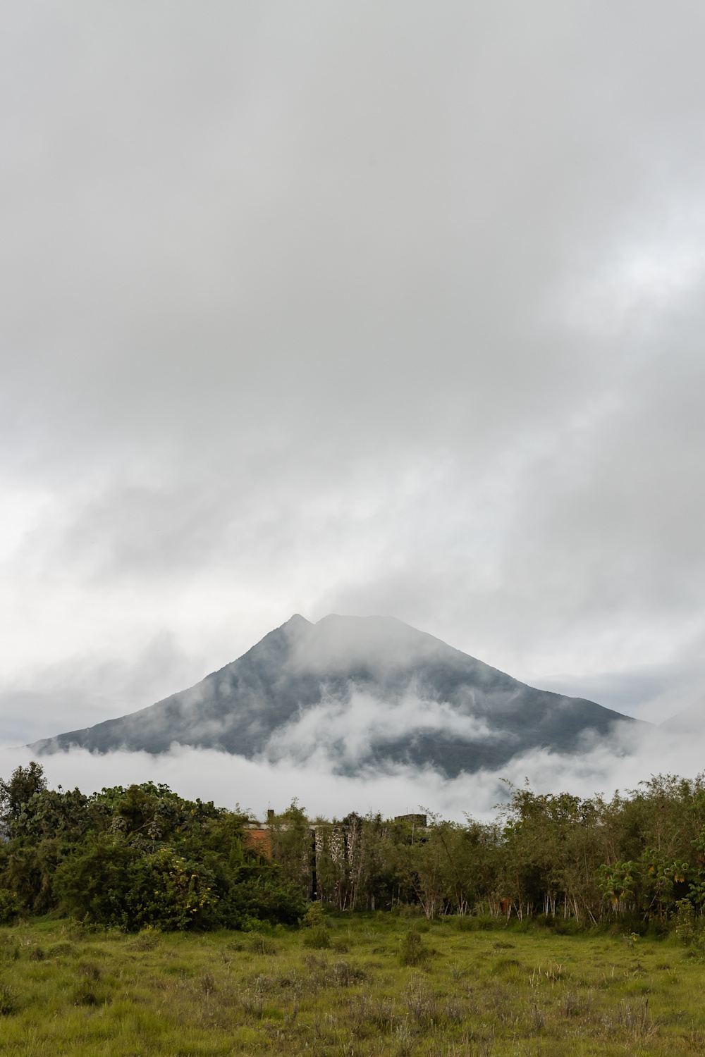 Rewilding Rwanda