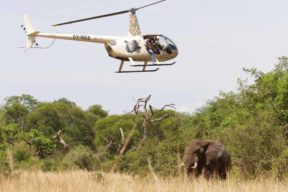 Proactive Conservation: The Singita Grumeti Elephant Collaring Project