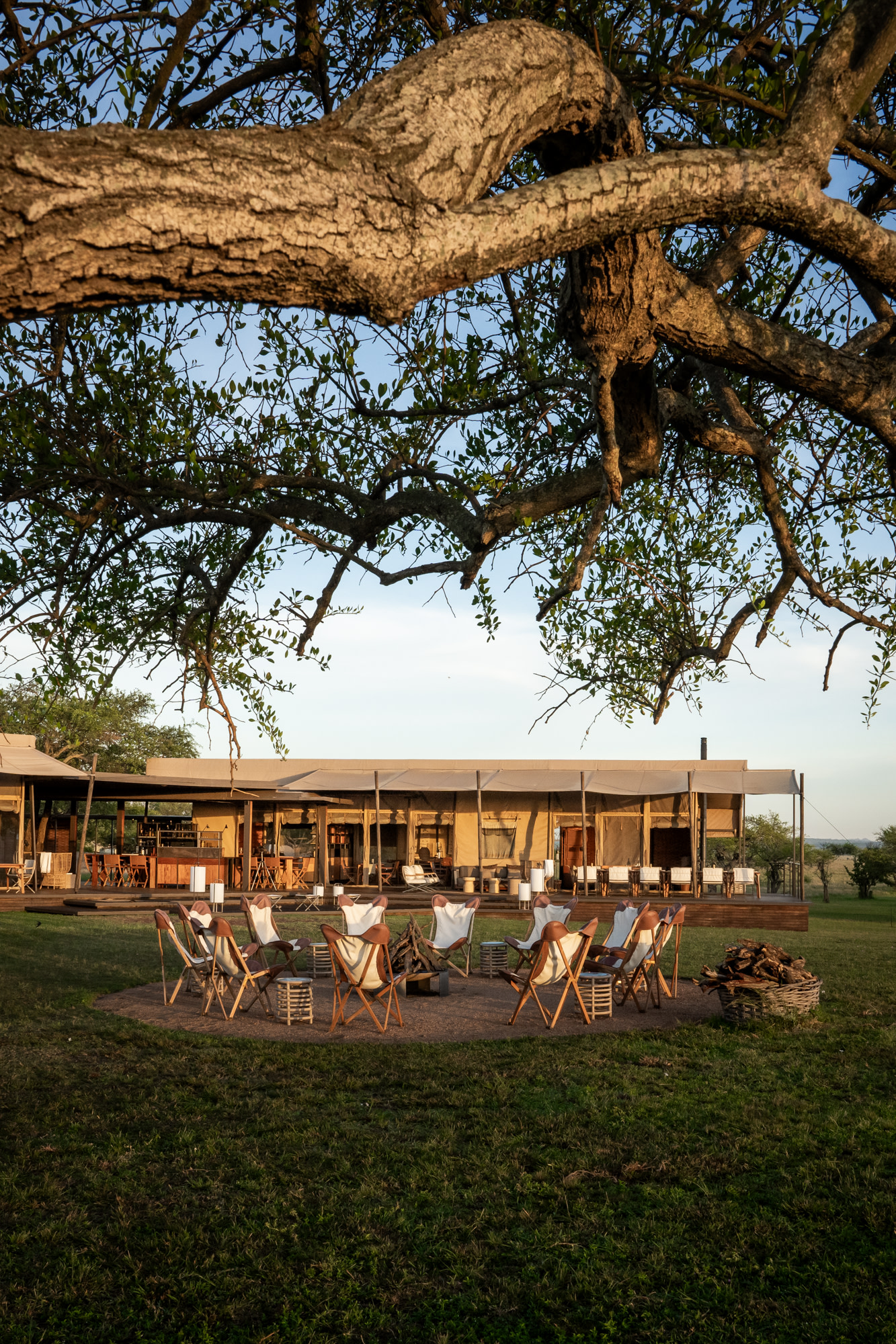 Singita Sabora Tented Camp under the night sky