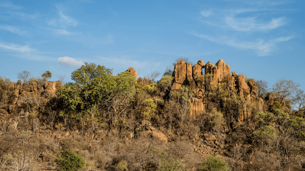 Cyclone Eloise as it hit Mozambique on the 22nd / 23rd of January 2021. Image from www.windy.com.