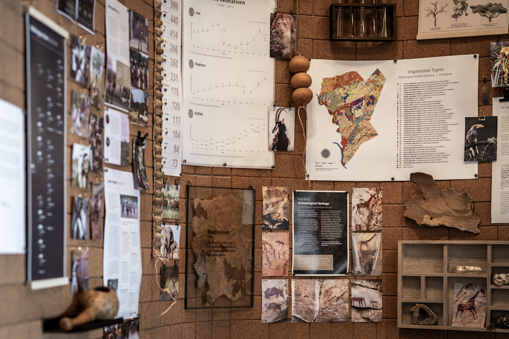 The carefully curated images, maps, artefacts and photographs in our Conservation Rooms take guests on a fascinating visual and multimedia journey through each region