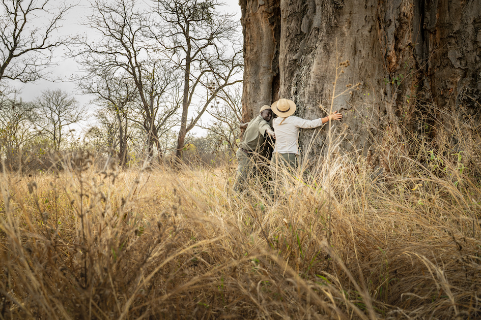 Preserving Malilangwe’s culture and history is an intrinsic part of its conservation