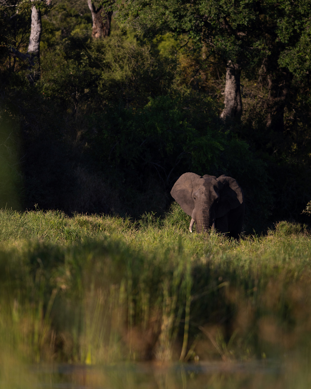 Mathieu Courdesses SKNP