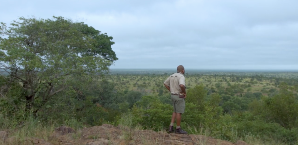 Evidence's love of the bush and desire to become a Field Guide was instilled at a young age, and his hard work and hunger for knowledge ensured he achieved his goals quickly