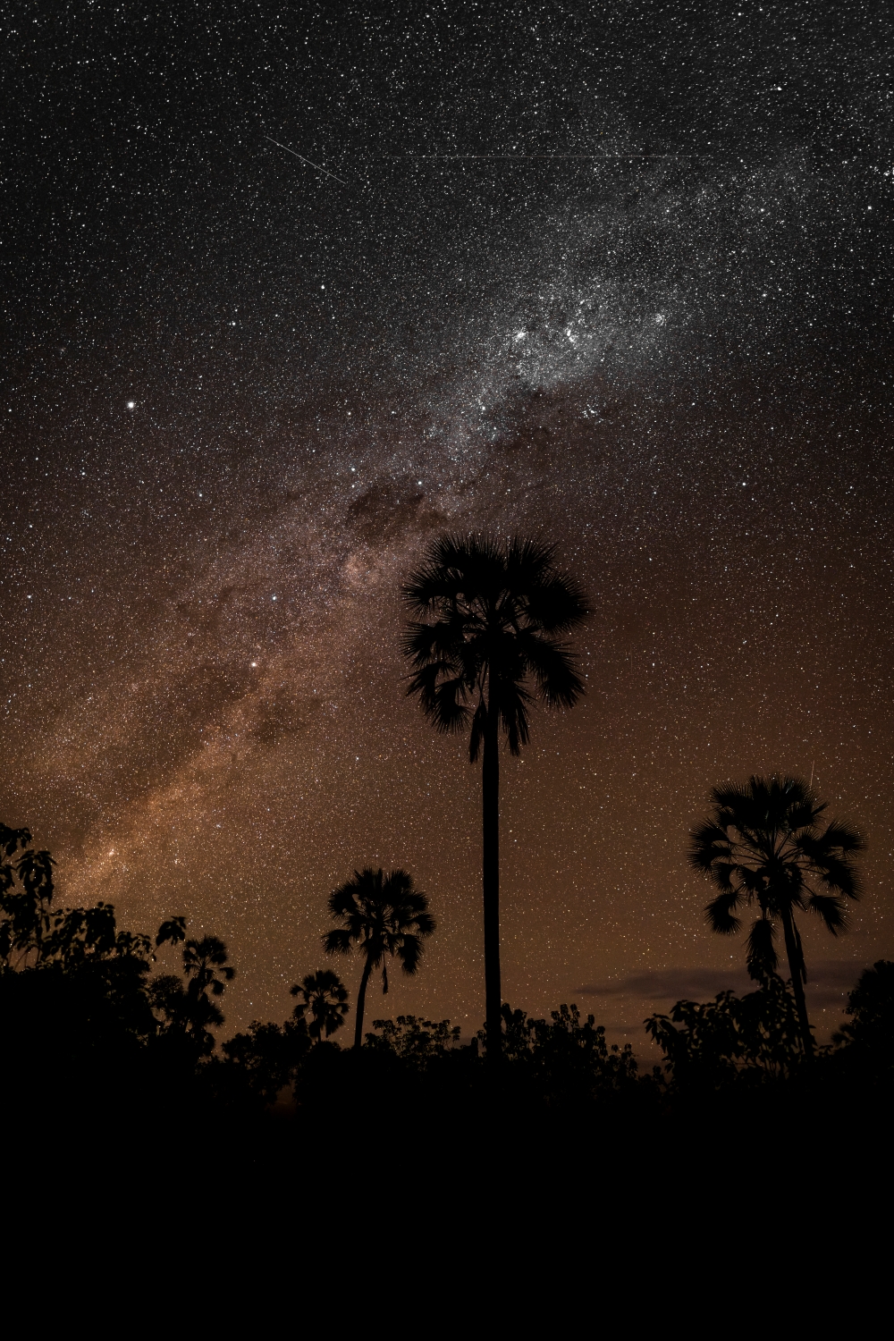 Okavango Delta Night Skies