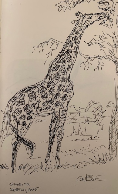 Guest Post Glen Keane