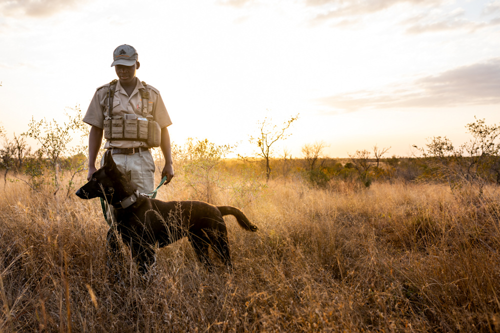 Engaging with our community and conversation programmes reinforces a sense of perspective and purpose