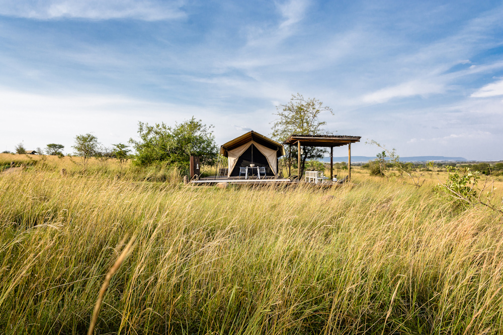 The redesign of Singita Mara River Tented Camp retains its spirit while establishing a deeper connection to the setting