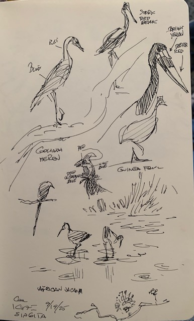 Guest Post Glen Keane