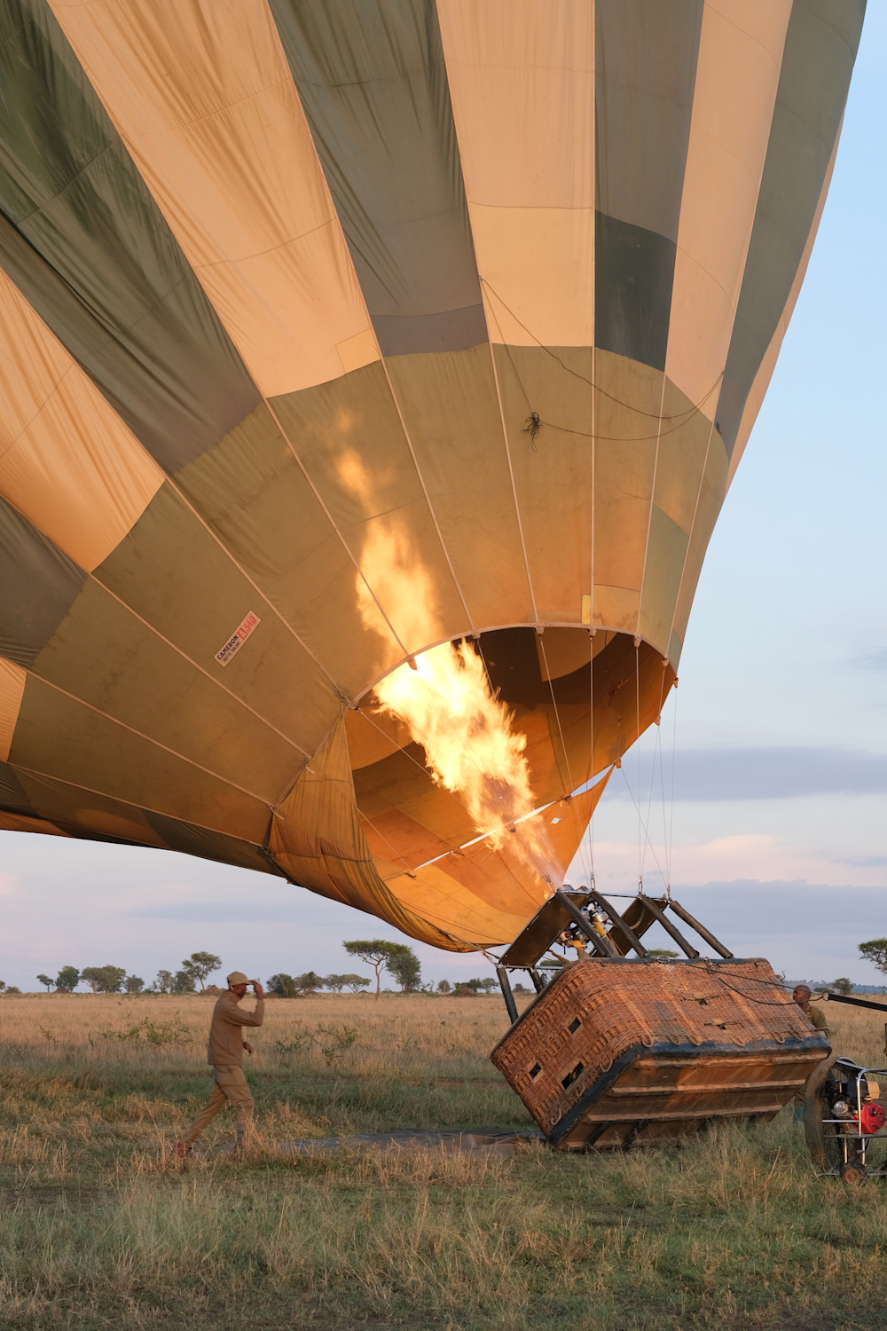 Ways to experience the bush