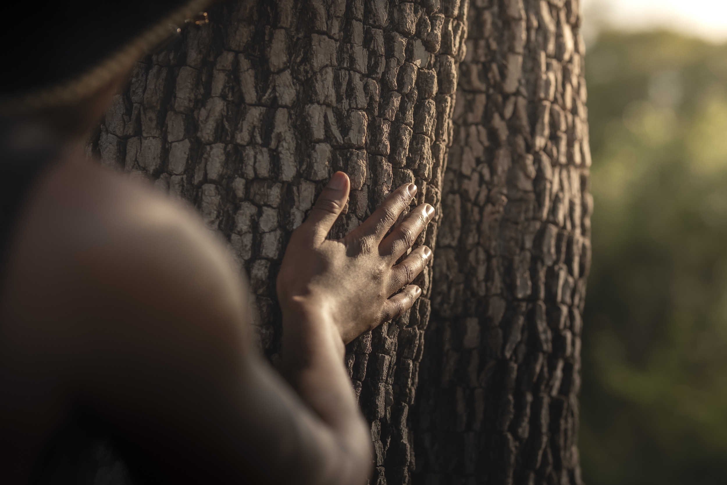 Africa Is Series_Singita