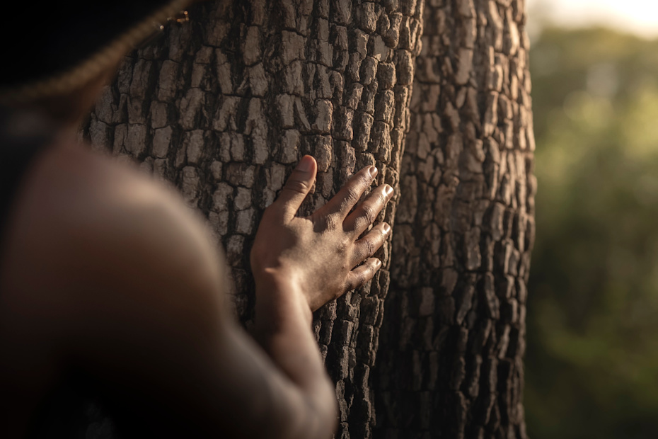 Africa Is Series_Singita