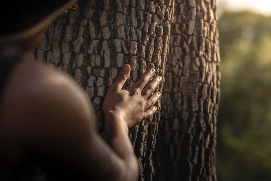 Africa Is Series_Singita