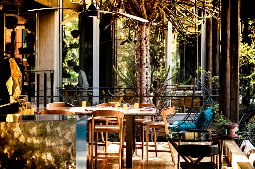 Experience a Gourmet Safari at Singita Sweni Lodge