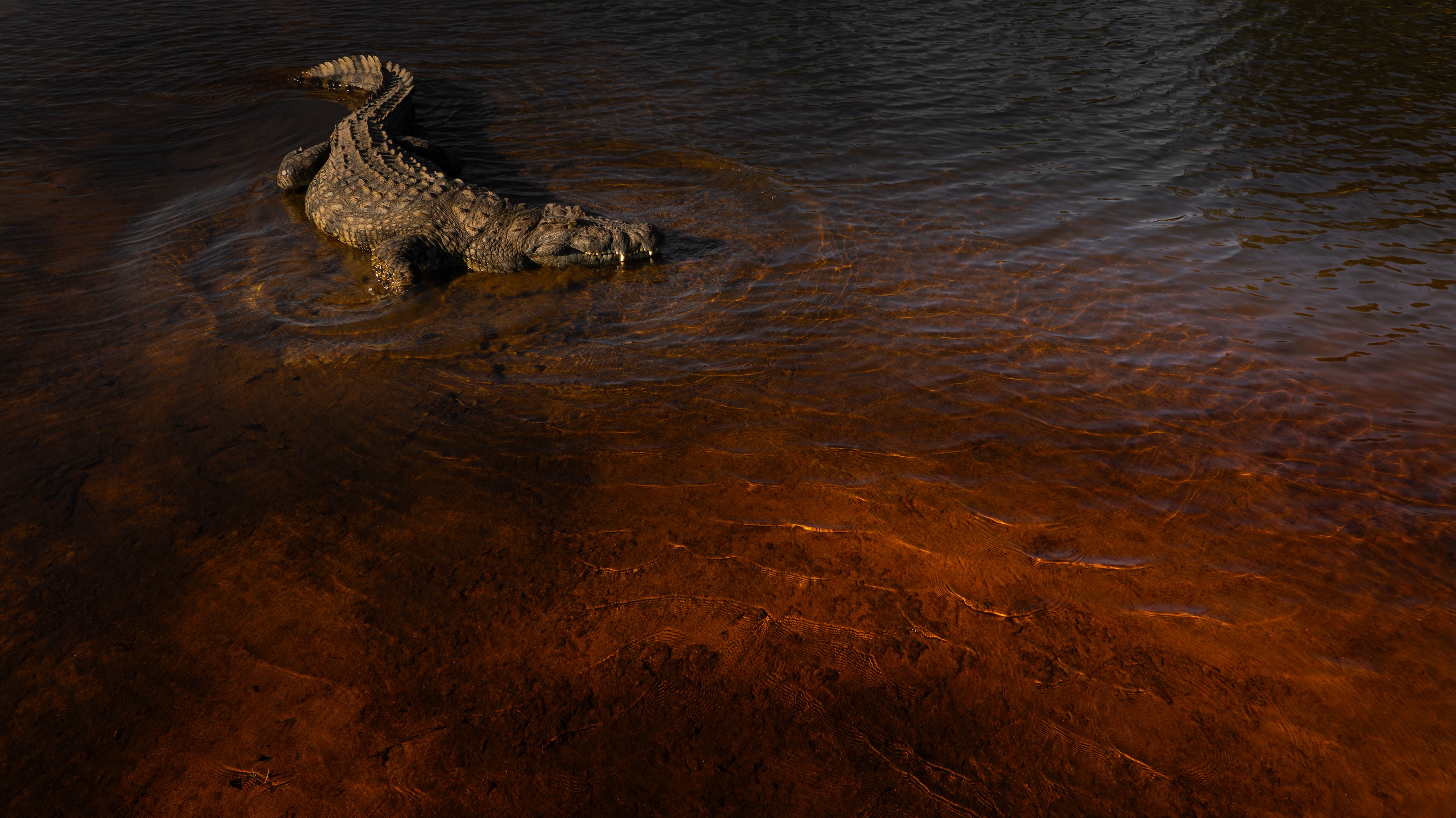 Daniel Hartmann post