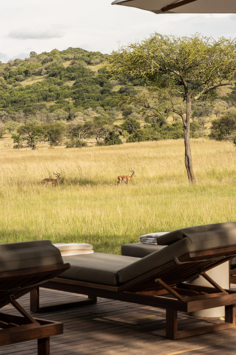 Serengeti House pool