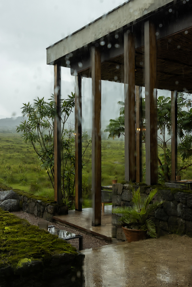 the forest is coming_Singita Kwitonda Lodge