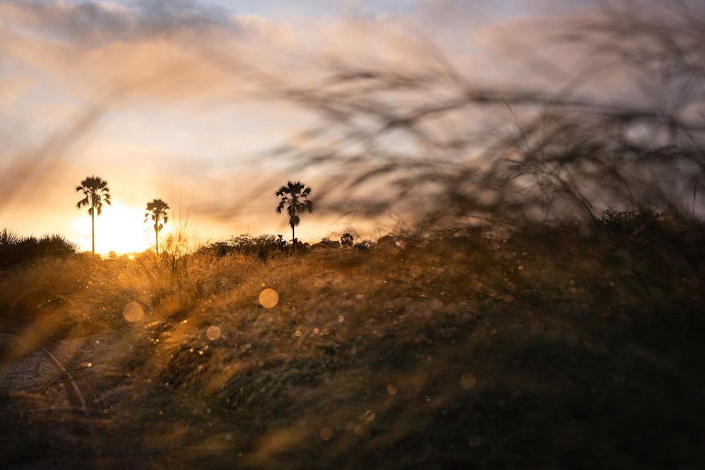 Singita Okavango Delta