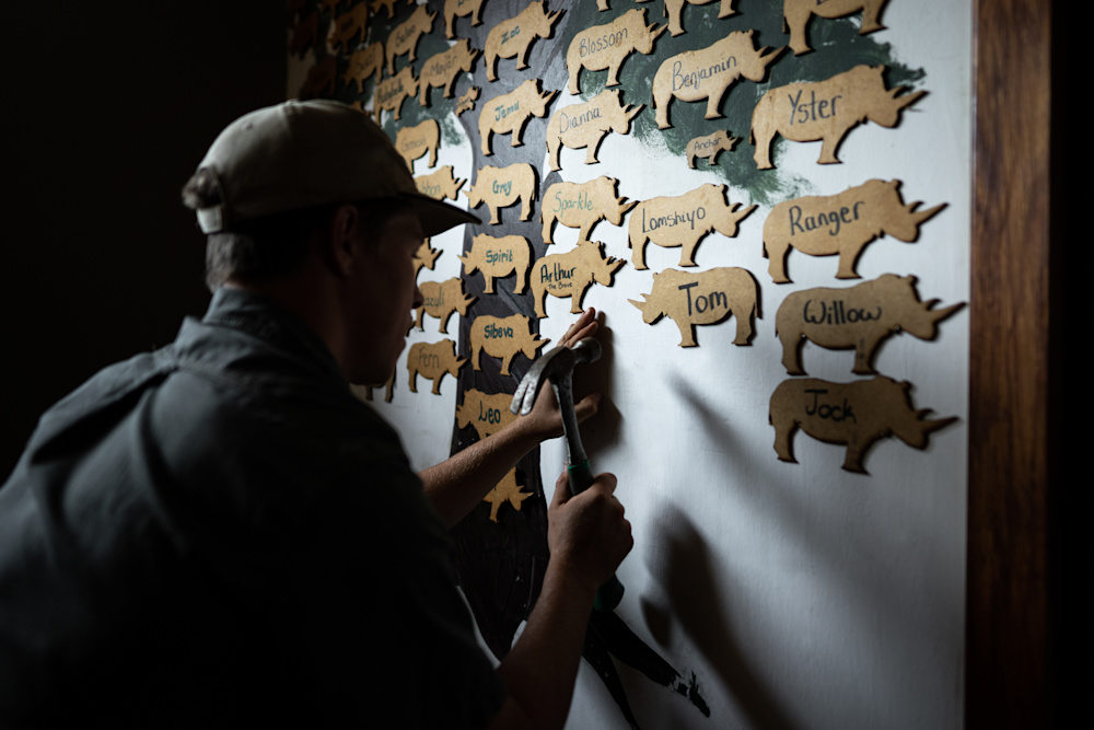 Committed to the care of rhino, and other vulnerable species, Singita Lowveld Trust, Care for Wild and other organisations like them rely on the invaluable funds raised by individuals and organisations