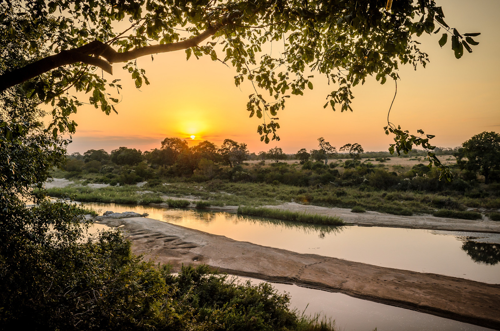 Singita Sabi Sand under the night sky