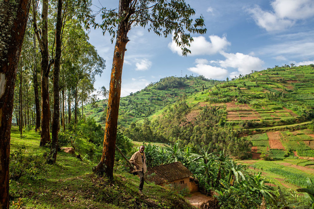 The remarkable allure of Rwanda | Singita