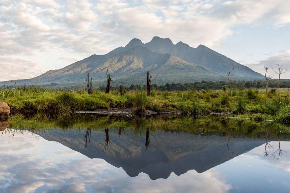 Green Goals: Singita's Sustainability Vision for 2025