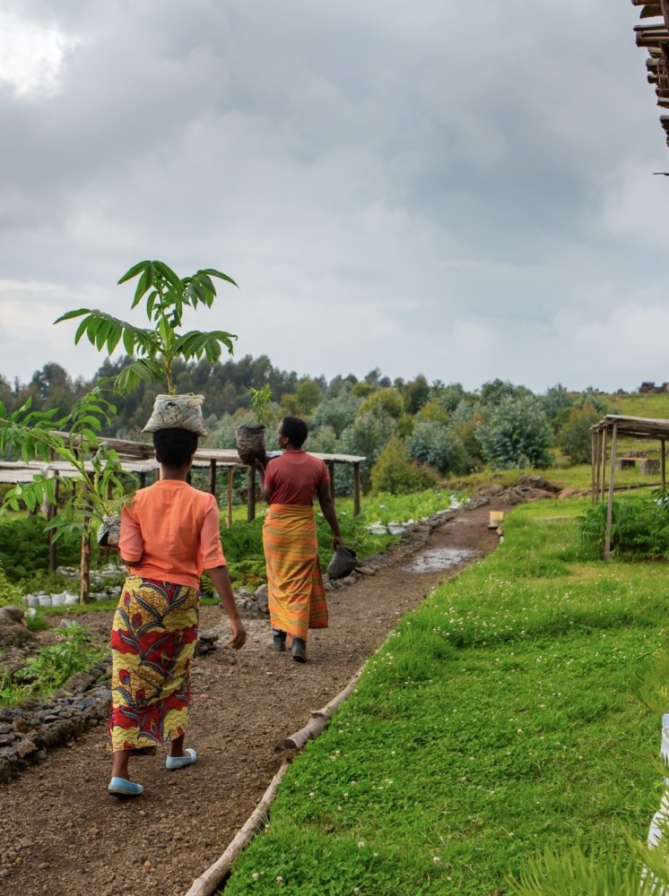 Local village women helping with plant conservation