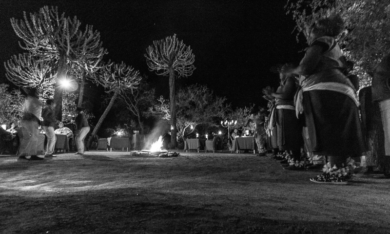 A First-Time Family Safari