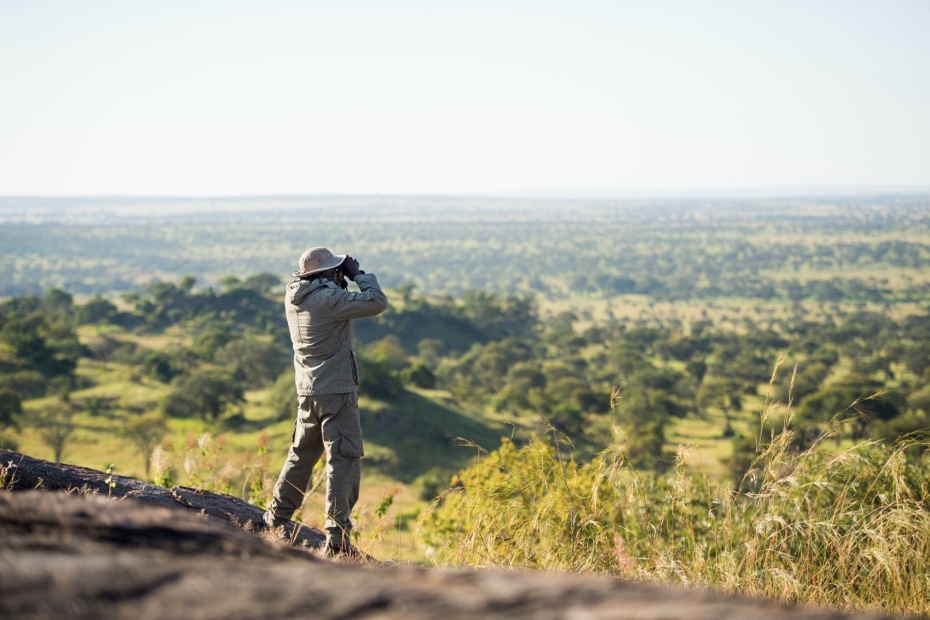 Field guide scouting surrounding area from hilltop